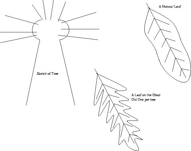 sketch of tree and leaves