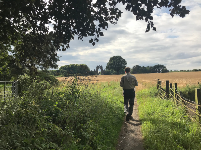 A picture of B walking across a cornfield.  Picturesque priory ruins are in the background.