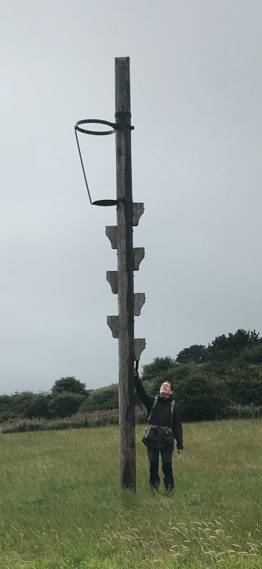 B. next to a post with footholds for climbing and a metal hoop up at the top.
