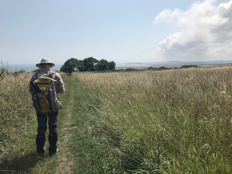 B. standing in a cornfield. Scarborough Castle is visible as a tiny bump on the horizon.