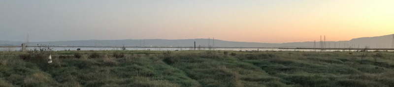 Long thin image of grassy wetland with water beyond and mountains beyond that. Slight pinkish tinge to the sky.