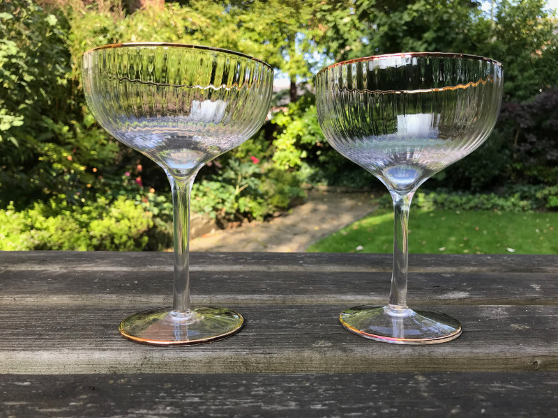 Two gold rimmed champagne saucers in the garden in the sun