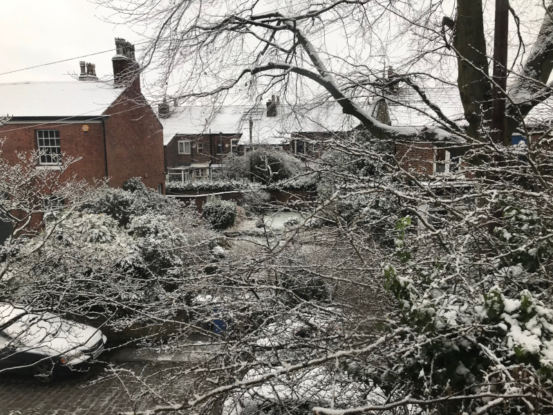 View through window of snow covered gardens, houses and cars