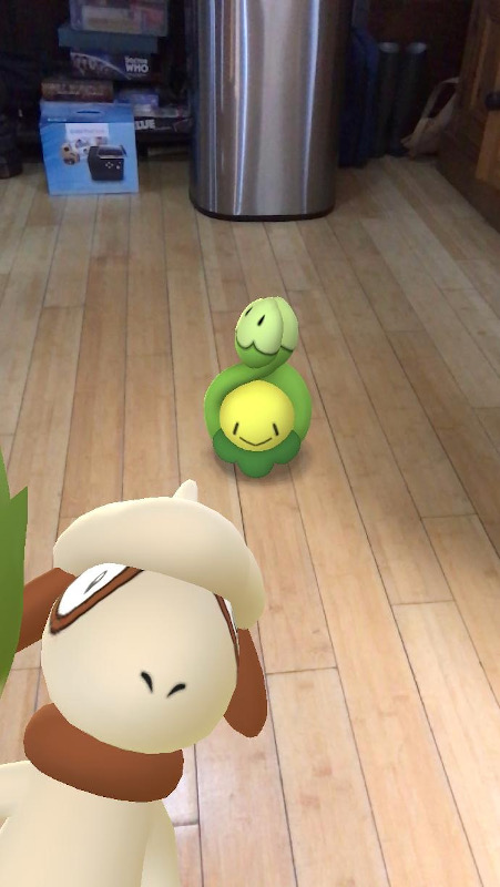 A green bud shaped Pokemon on the kitchen flaw, being photo-bombed by a vaguely sheep like Pokemon