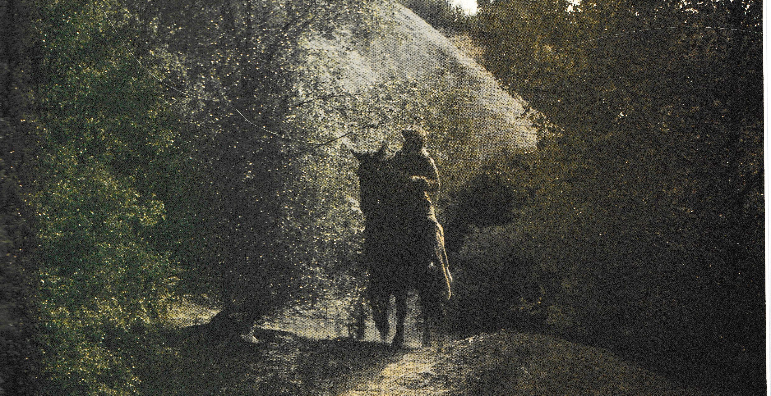 Cheetah Person on a horse