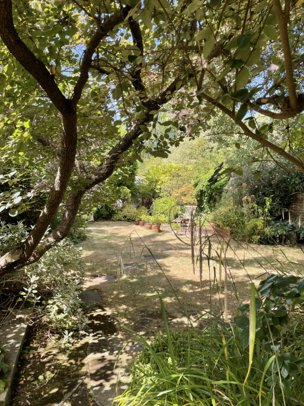 A shady garden.  View through to a sunny lawn, pot plants and a steamer chair.