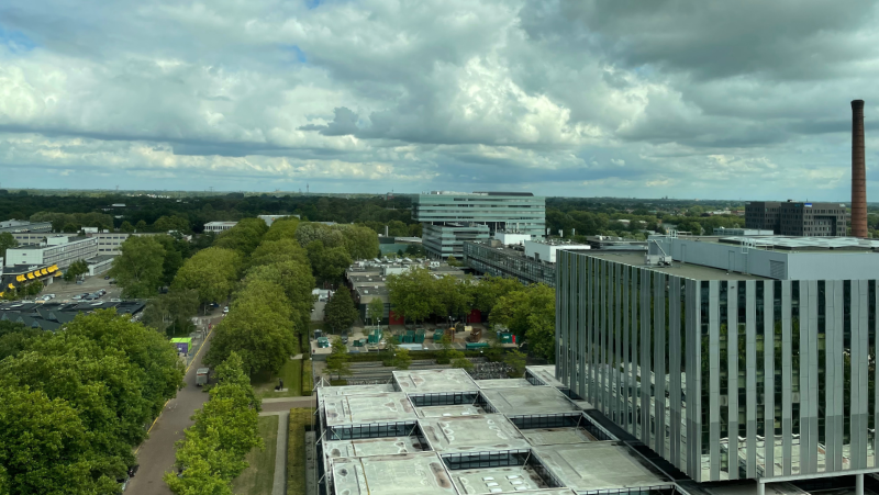 View from a high window over a flat city.  Lots of trees and two large blocky buildings.