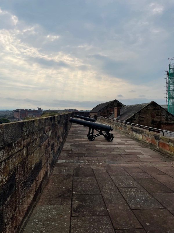 A row of canons on a neat stone-flagged walkway.