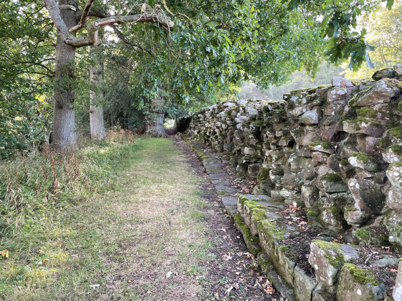 Stretch of wall alongside a path that goes under trees.