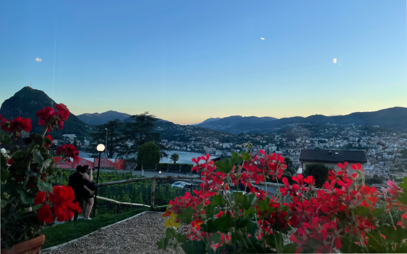 Twilight view of lake and hills. Red flowers in the front.