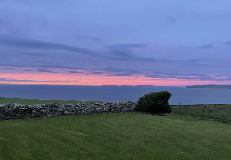 Dry stone wall, bush, dark sky with a pink streak