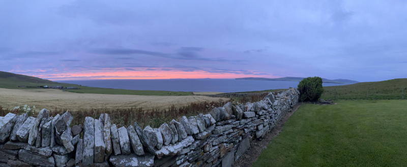 A dry stone wall with a bush at the end and dark sky with a pink streak above.