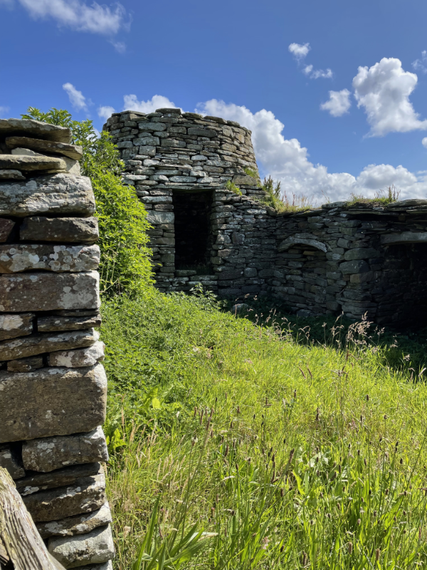 A cylindrical stone build structure with a dark opening to an overgrown space.