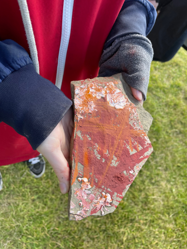 Hands holding a stone painted in shades of reddish brown with white star shaped stamps.