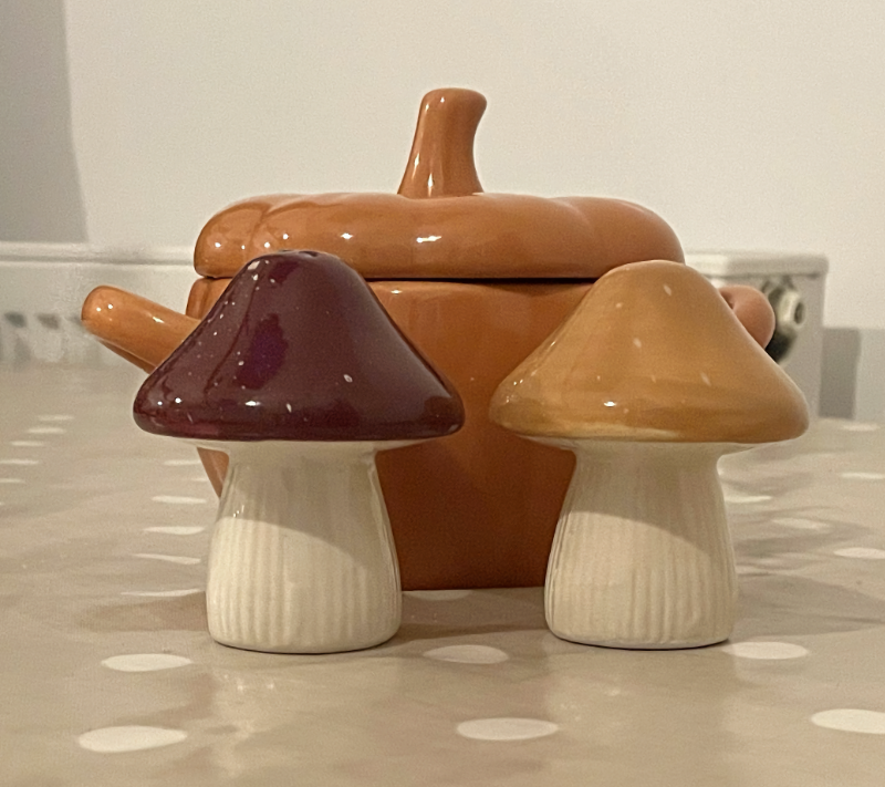 A small pumpkin shaped pot.  In front of it are two ceramic mushrooms in colour-coordinated shades of orange and purple.  They are standing on a pale spotty tablecloth.
