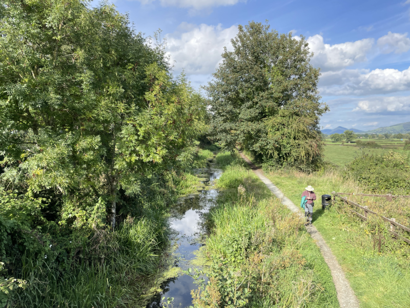 Looking down on B walking the towpath.
