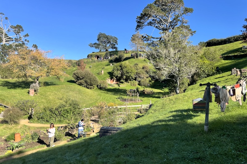 A view down a hill showing gardens, and hobbit holes and bag end.