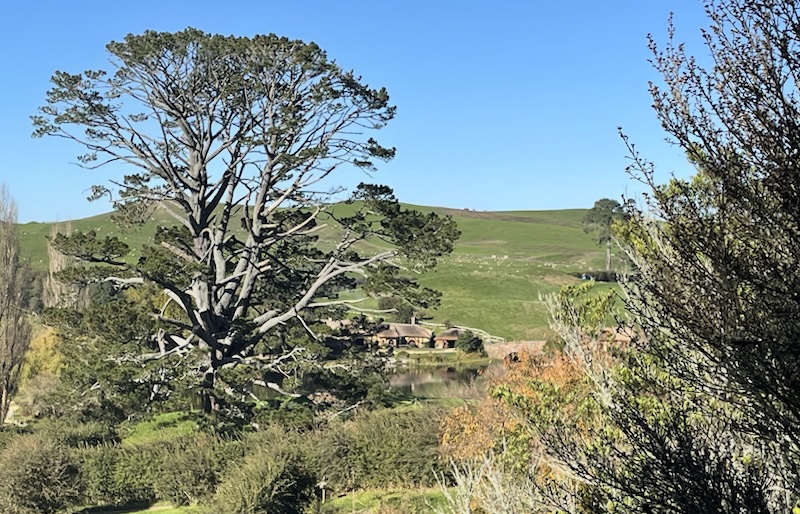 The party tree with the Green Dragon beyond