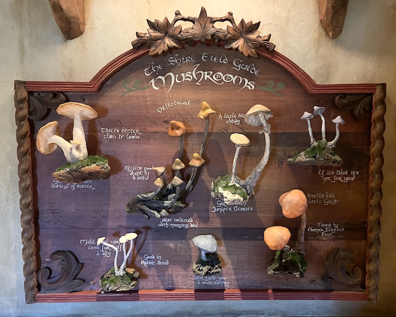 The Shire Field Guide Mushrooms. Several model mushrooms with labels such as tastes better than it looks.