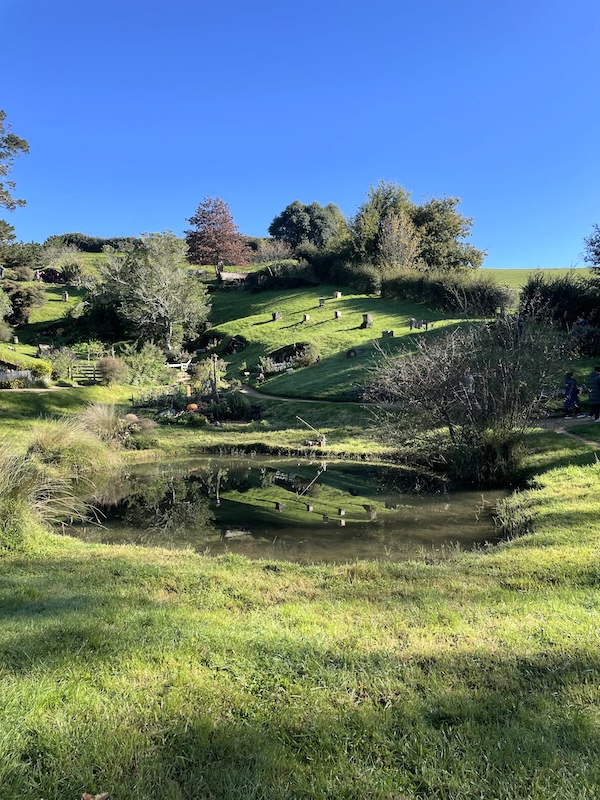 A view across aa pond to a hillside dotted with chimnies.