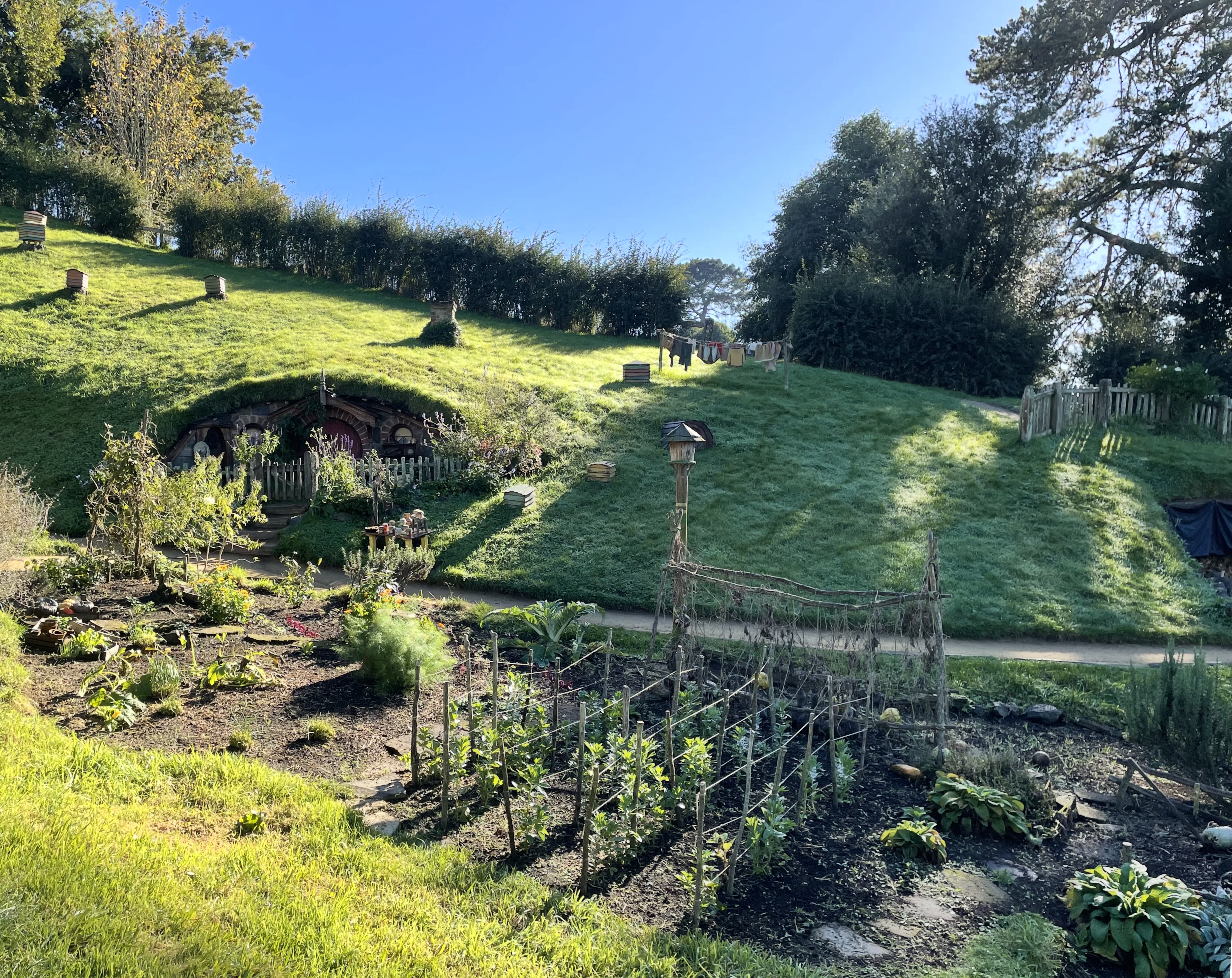 A hobbit hole set into a hillside with many chimneys and a washing line. Runner beans (of similar) in front.