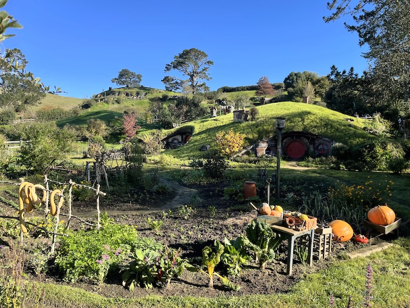 A view over Hobbiton showing rowing hills with round doors in them. In the foreground is a market garden with pumpkins.