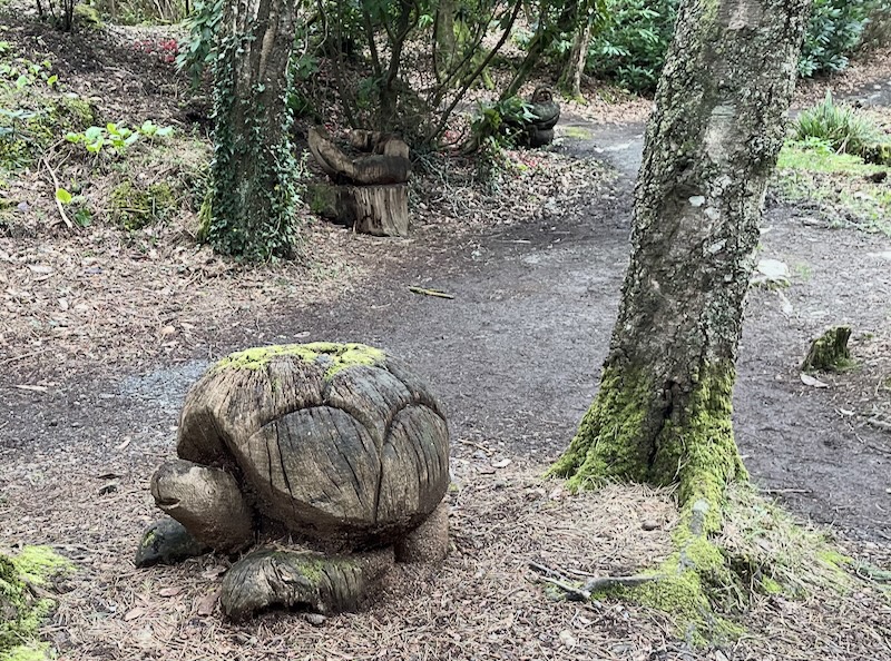 A wooden tortoise. A wooden hand and frog are visible beyond..