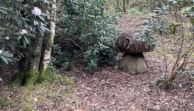 A wooden toadstool.
