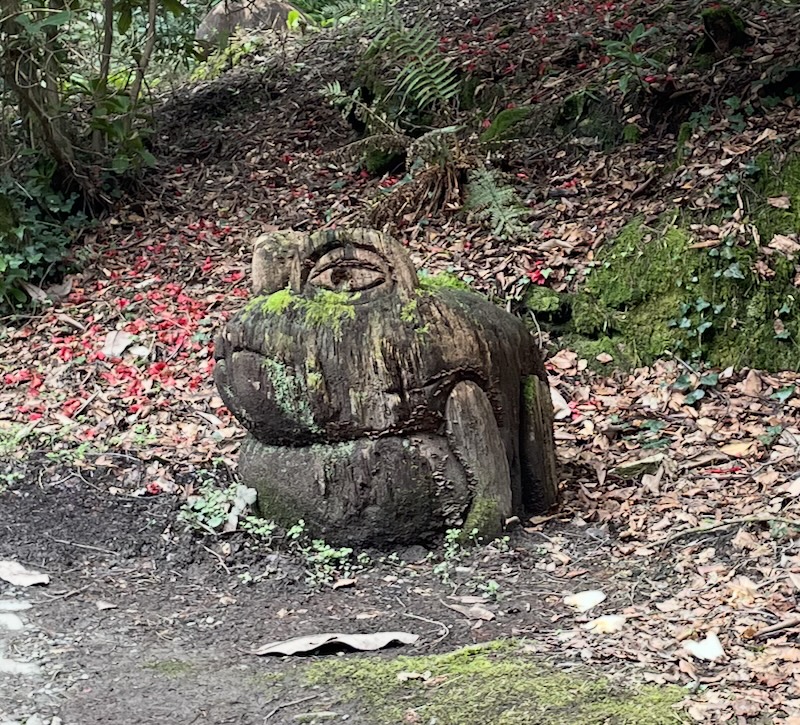 A wooden frog.