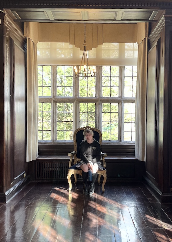 Marmalade Sparrow sitting in a gold-edged chair before a large window