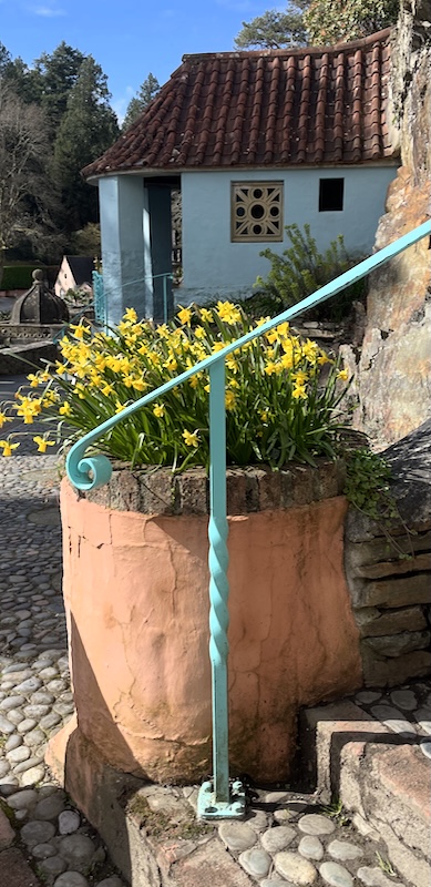 Daffodils in a pot with a blue curved building behind..