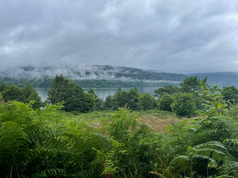 View across a loch to the wooded far shore. Low clouds.