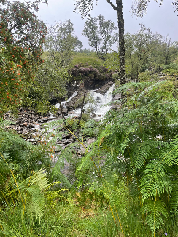 A waterfall