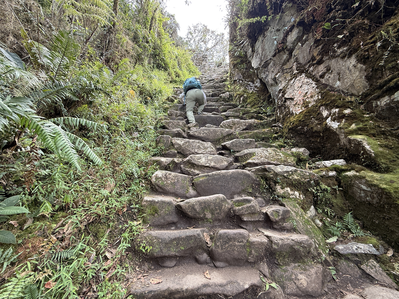 View from behind of me scrambling up steep steps.