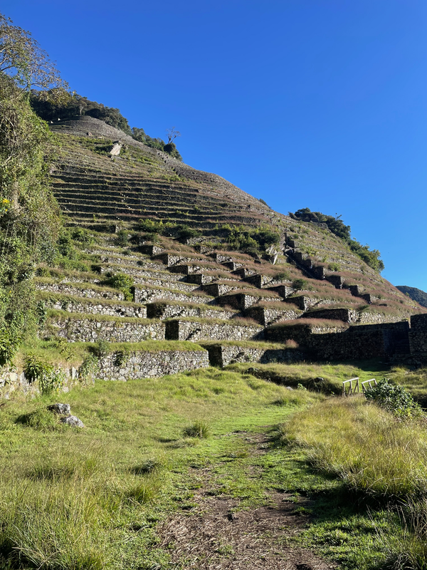 Terraced side of a hill.