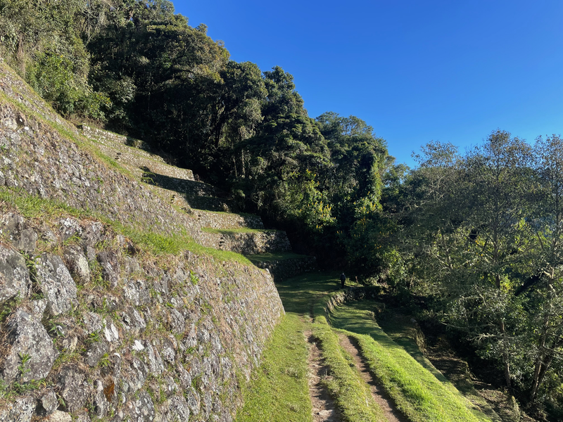 Terraces on the left leading into trees.