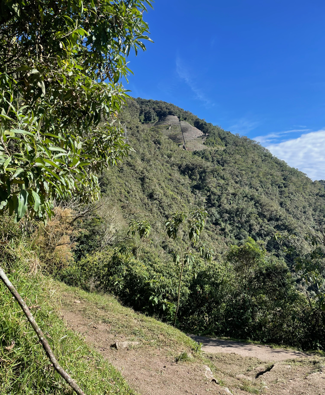 Looking back up a wooded hillside to the sort of triangular shape of Intipata
