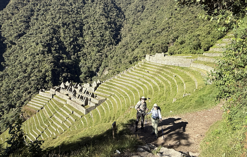Convex terraces with some regimented buildings halfway down on the far side - including us for scale