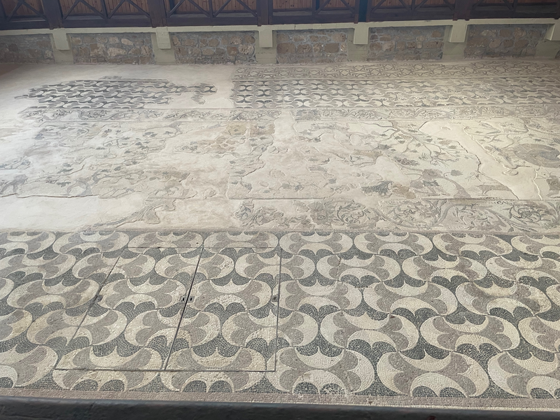 View of a mosaic floor with a curved geometrical design around the border that stands out most and what looks like a picture of a garden in the middle.