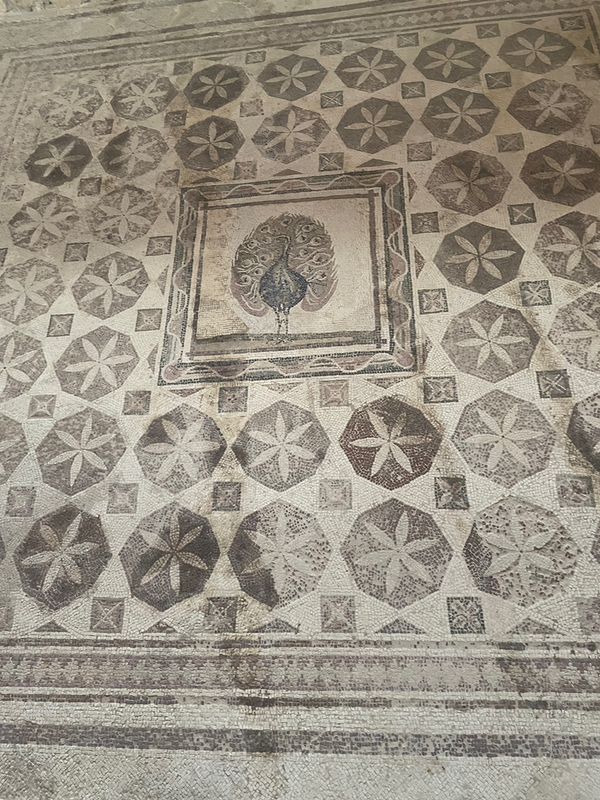 A mosaic floor with a wide geometic border and a small peacock in the middle