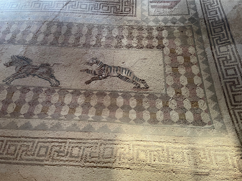 Mosaic of a Tiger and a Boar
