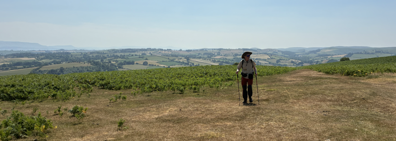 A man stands on a rolling hilltop, a landscape of fields beyond.
