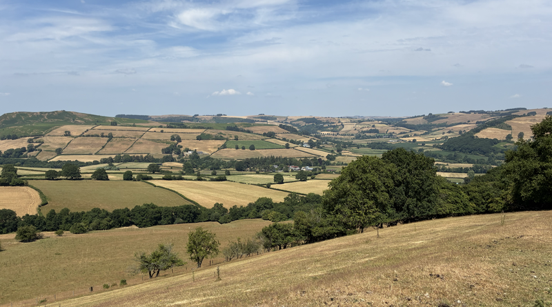 A view over countryside consisting of a patchwork of fields