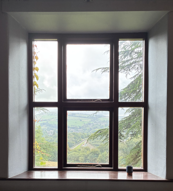 A small pot on a window sill with a large window behind it showing branches of some conifer and a view of hill beyond.