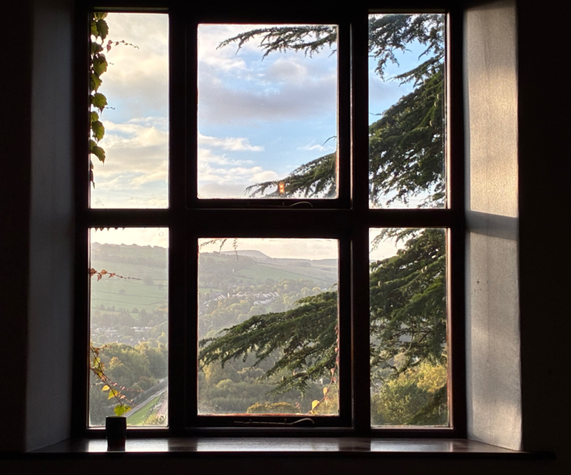 A small pot on a window sill with a large window behind it showing branches of some conifer and a view of hill beyond.