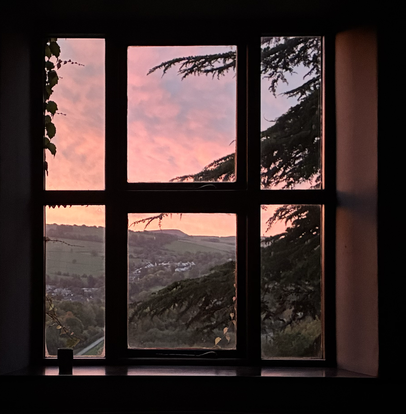 A pot in a window with a view of hills against a pink and blue sky