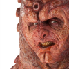 Zygon face.