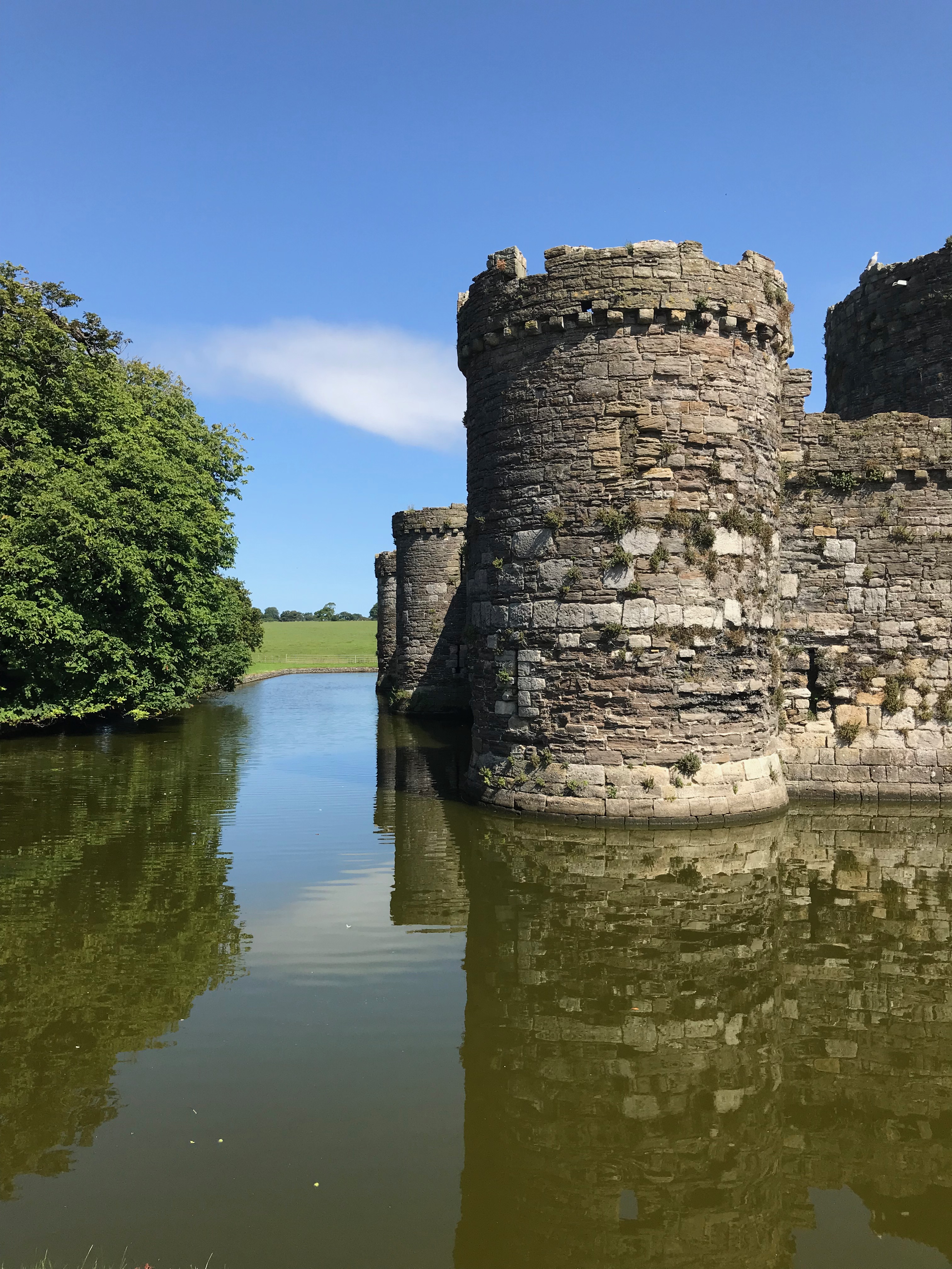 Portrait view of corner turret of Beaumaris Castle with the moat at its base.