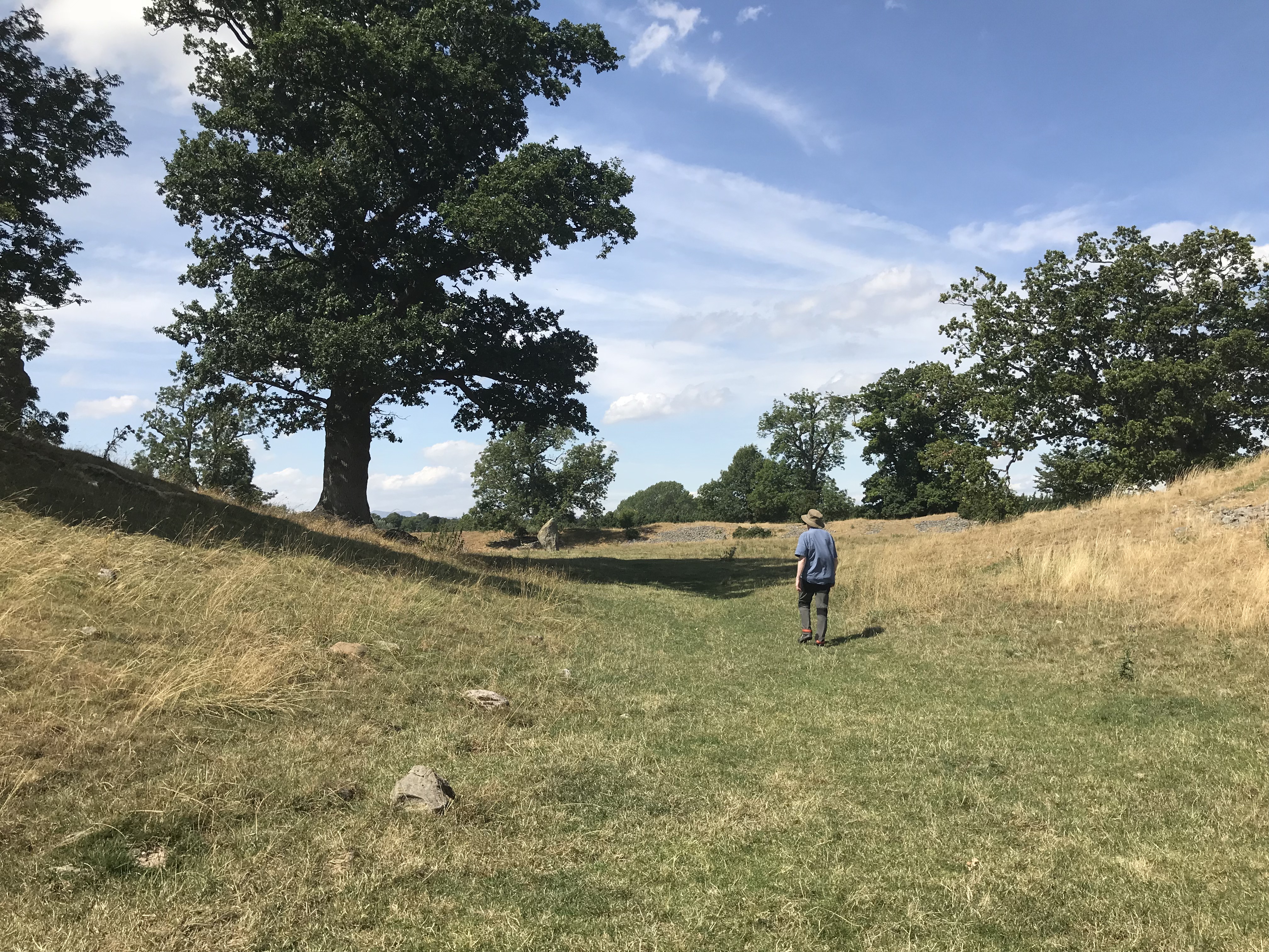 A man in short shirt sleeves and a sun hat walking away along a grassy path between the rise of two ancient earthworks on either side.  A far earthwork can be seen beyond.  Trees grow along the rises.