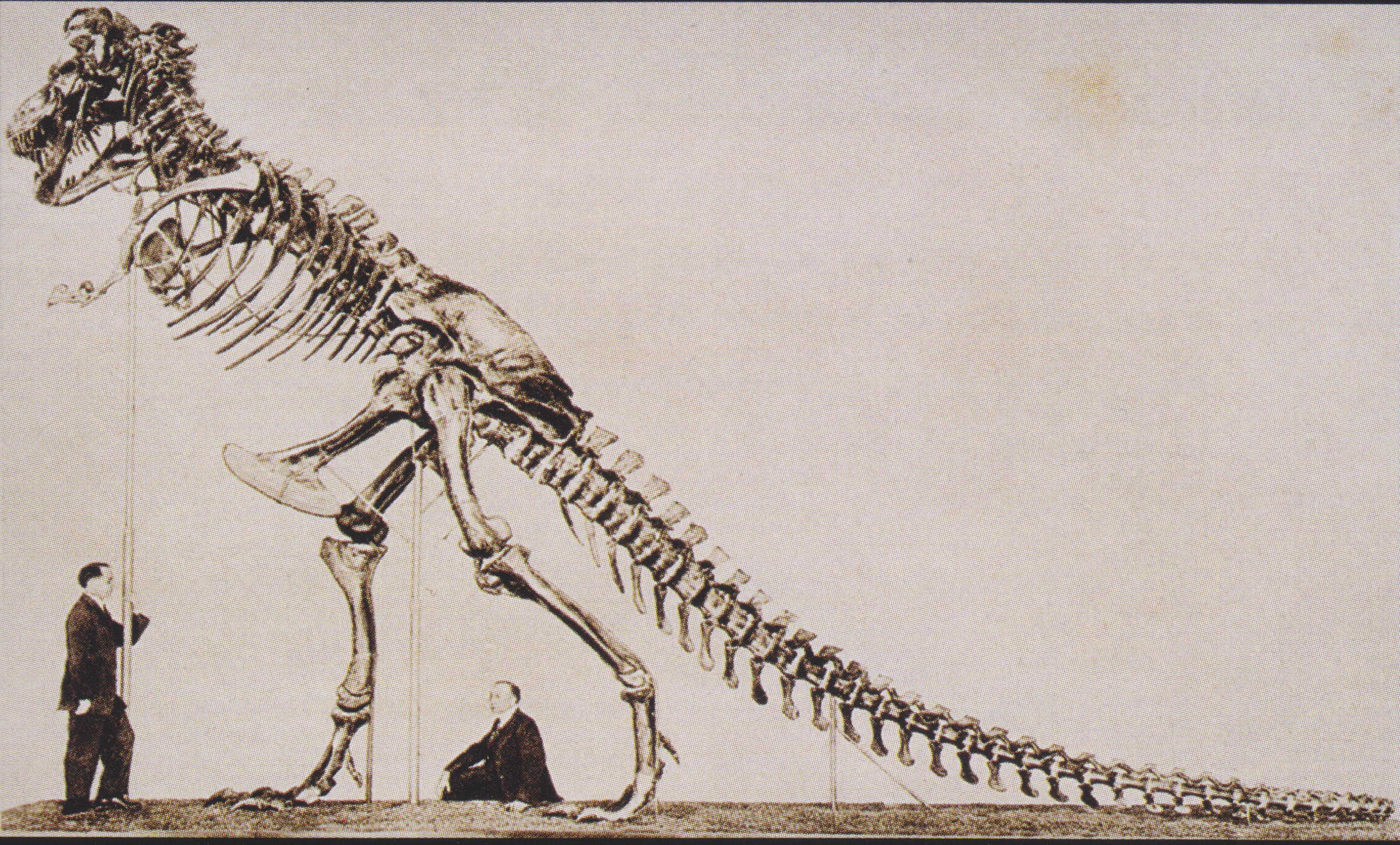 Sepia photograph of a T-Rex skeleton mounted upright so its tail rests on the floor. Two men one standing and one seated on the floor provide scale.